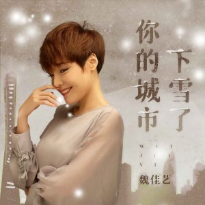 收聽魏佳藝的你的城市下雪了歌詞歌曲