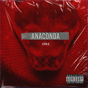 收聽Owl的ANACONDA (Explicit)歌詞歌曲