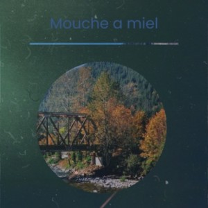 Various的專輯Mouche a Miel