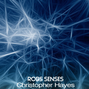 收聽Christopher Hayes的Robs Senses歌詞歌曲