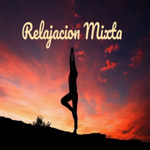 Dengarkan lagu Meditar nyanyian Para Relajarte dengan lirik
