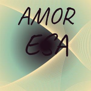 Various的专辑Amor Esa