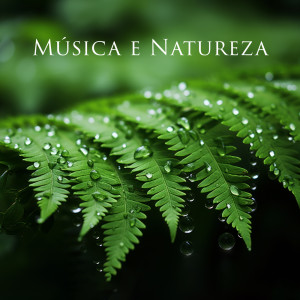 Album Música e Natureza (Floresta Tropical, Pássaros, Jardim Botânico) from Hipnose Natureza Sons Coleção