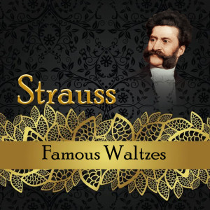 Album Strauss, Famous Waltzes oleh Radio Bratislava Symphony Orchestra