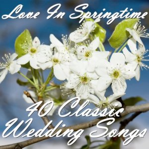 收聽Spring Wedding Maestro的Canon in D歌詞歌曲
