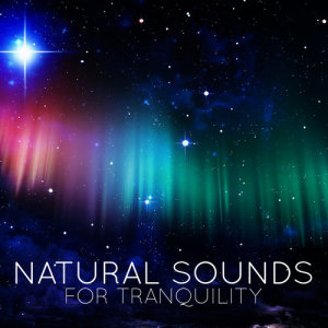 อัลบัม Natural Sounds for Tranquility ศิลปิน Tranquil Music Sounds of Nature