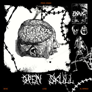 Album Open Skull (Explicit) from Bove