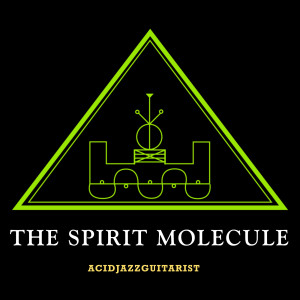 Album The Spirit Molecule from Acid Jazz Guitarist