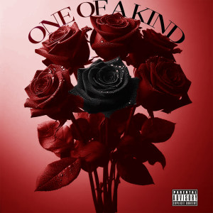 Album One of a Kind (Explicit) from King Mel