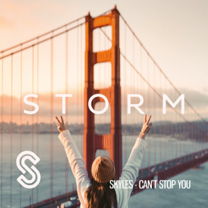 Listen to Can't Stop You song with lyrics from Skyles