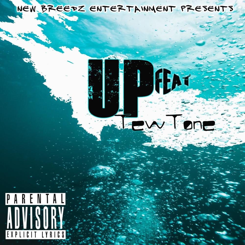 Up (feat. Visiontunnel & TewTone) (Explicit)