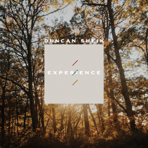 Duncan Sheik的專輯Experience