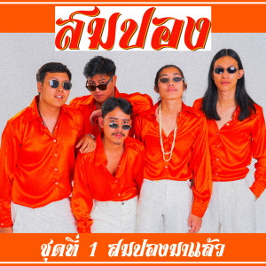 ดาวน์โหลดและฟังเพลง ได้แค่มองดูคุณไกลๆ พร้อมเนื้อเพลงจาก สมปอง