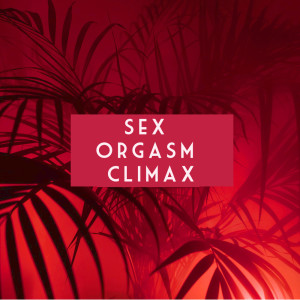 Listen to Intimate Sex song with lyrics from Sex Beats