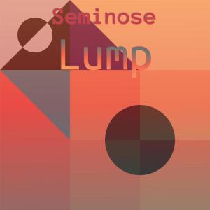 Album Seminose Lump oleh Various