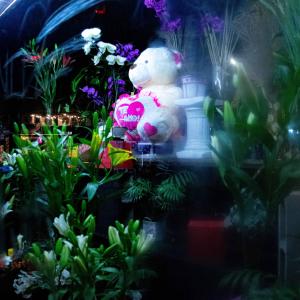 收聽Martx的TEMA 1歌詞歌曲