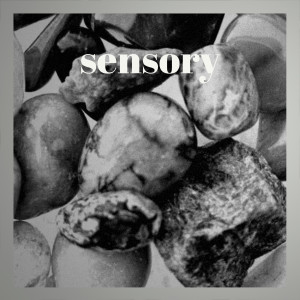 群星的專輯Sensory