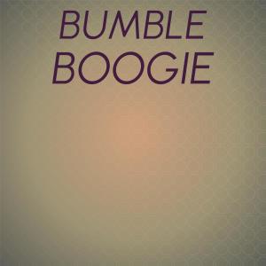 收听Boogie Bumble的Bumble Boogie歌词歌曲