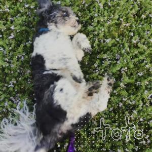 ดาวน์โหลดและฟังเพลง toto (feat. Dylan Kidd) พร้อมเนื้อเพลงจาก kylan didd