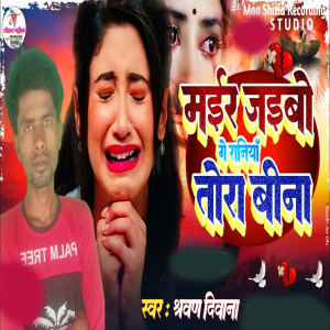 Listen to Mair Jebo Ge Raniyan Tora Bina song with lyrics from Sharvan Divana