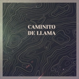 Listen to Caminito De Llama song with lyrics from Pachuly & Friends