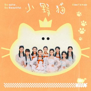 Album 小野猫 from 元气少女