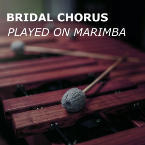 Listen to Bridal Chorus (Marimba Version) song with lyrics from Here Comes the Bride Song