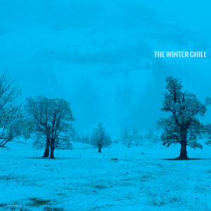 Various Artists的專輯The Winter Chill