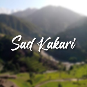 Album Sad Kakari from Haider khilji