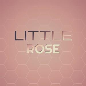 Listen to My Little Donna song with lyrics from Yellow Brick Road