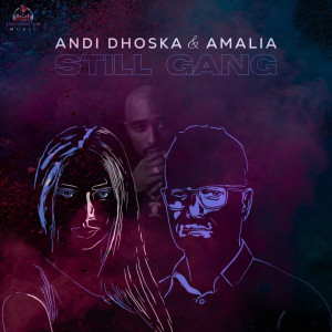 Listen to Still Gang (Explicit) song with lyrics from Andi Dhoska