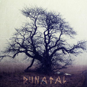 ดาวน์โหลดและฟังเพลง Runatal พร้อมเนื้อเพลงจาก Danheim