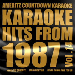 ดาวน์โหลดและฟังเพลง Never Say Goodbye (In the Style of Bon Jovi) [Karaoke Version] (Karaoke Version) พร้อมเนื้อเพลงจาก Ameritz Countdown Karaoke