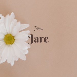 Temu的专辑Jare