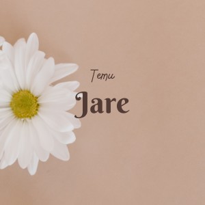 Album Jare from Temu