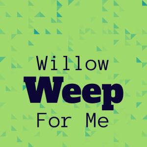 Listen to Willow Weep For Me song with lyrics from Billy Tipton