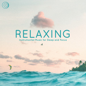 Album Relaxing Instrumental Music for Sleep and Focus from NEWMAN