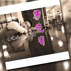 Listen to Mei Hua Lei song with lyrics from Roberto Tjia