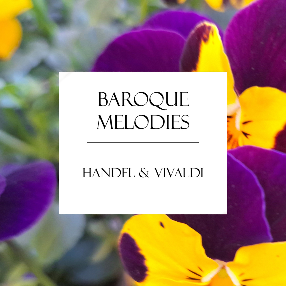 Handel: Flute Sonata in A Minor, HWV 374 "Halle No. 1": I. Adagio