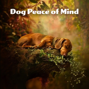 Dog Peace of Mind