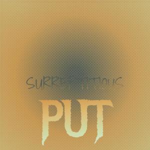 Various的专辑Surreptitious Put
