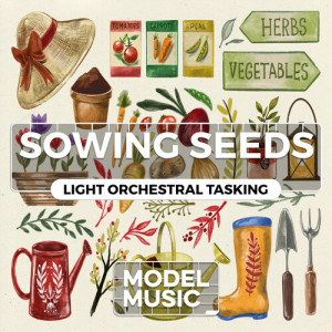 Album Sowing Seeds - Light Orchestral Tasking from 