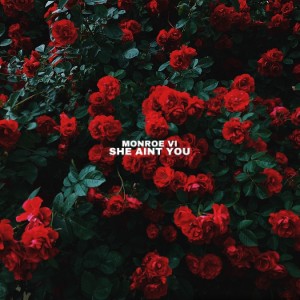 MONROE VI的專輯She Aint You (Explicit)