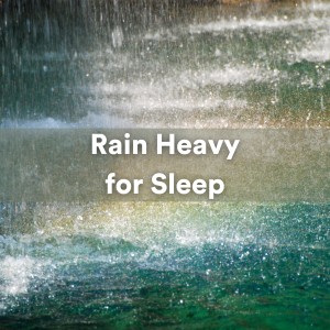Rain Sounds的专辑Rain Heavy for Sleep