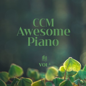 Album CCM AWESOME PIANO VOL 3 from 신현주