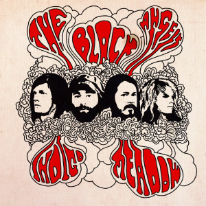 ดาวน์โหลดและฟังเพลง Black Isn't Black พร้อมเนื้อเพลงจาก The Black Angels