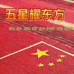 Listen to 五星耀东方 (完整版) song with lyrics from 刘伟