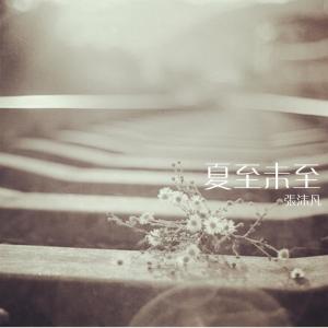 Listen to 军师联盟 song with lyrics from 张沫凡