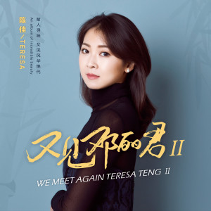 Listen to 再见!我的爱人 song with lyrics from 陈佳