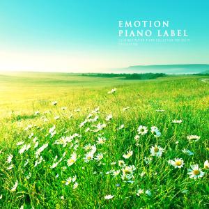 Listen to I Express My Gratitude song with lyrics from Wanderer